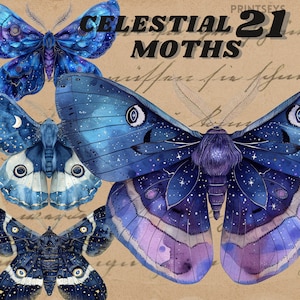 Paquete de imágenes prediseñadas de polilla celestial caprichosa de acuarela, png Wiccan, png de polilla, imágenes prediseñadas místicas, imágenes prediseñadas png de brujería, pagano, pegatina digital