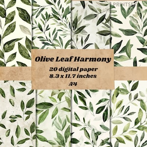 Könnte beinhalten: Ein Set mit 20 digitalen Papieren mit einem Aquarellmuster aus Olivenblättern auf weißem Hintergrund. Die Papiere sind 8,3 x 11,7 Zoll groß und mit "Olive Leaf Harmony" beschriftet.