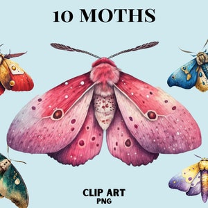 Aquarell Mystische Motte Clipart, Wicca png, Motte png, mystische Clipart, Hexerei png png, heidnische png png, Schmetterling