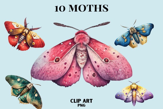 Watercolour Mystical Moth clipart, Wiccan png, moth png, mystical clipart, witchcraft png clipart, pagan clipart png, pagan png, butterfly
