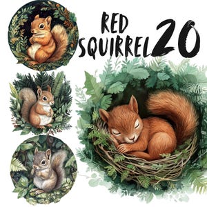 Ensemble de cliparts mignon écureuil roux, animaux PNG autocollants, png fantastique ensemble en téléchargement numérique, artisanat en papier animaux de la forêt écureuil goodnote