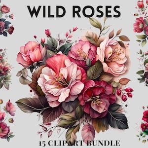 Lot de cliparts aquarelle de roses sauvages, roses roses, rouges, clipart floral, clipart fleurs sauvages, téléchargement immédiat