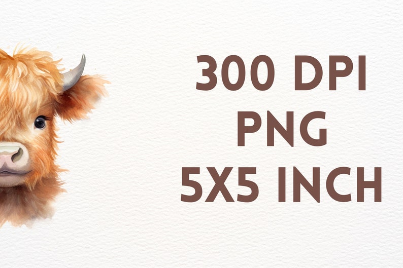 May include: A watercolour illustration of a Highland cow's head with brown fur and a white nose. The image is 5x5 inches and 300 DPI.