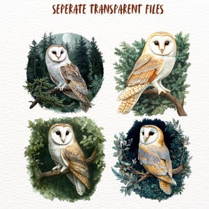 Peut inclure: Quatre illustrations &agrave; l'aquarelle de hiboux des granges perch&eacute;s sur des branches dans un d&eacute;cor forestier. Chaque hibou est repr&eacute;sent&eacute; avec des plumes d&eacute;taill&eacute;es et des traits r&eacute;alistes, entour&eacute; d'une v&eacute;g&eacute;tation luxuriante.