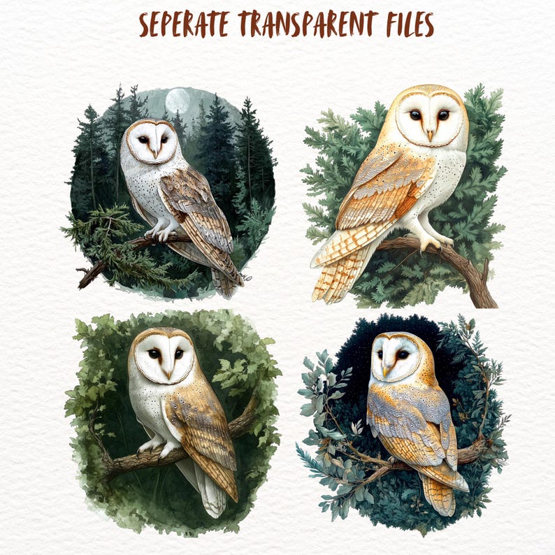 Peut inclure: Quatre illustrations &agrave; l'aquarelle de hiboux des granges perch&eacute;s sur des branches dans un d&eacute;cor forestier. Chaque hibou est repr&eacute;sent&eacute; avec des plumes d&eacute;taill&eacute;es et des traits r&eacute;alistes, entour&eacute; d'une v&eacute;g&eacute;tation luxuriante.
