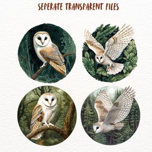 Peut inclure: Quatre illustrations de hiboux des granges dans un d&eacute;cor forestier. Chaque hibou est repr&eacute;sent&eacute; dans une pose diff&eacute;rente, sur un fond vert et brun.