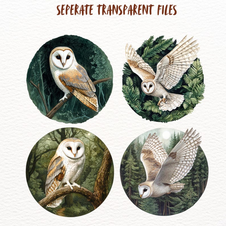 Peut inclure: Quatre illustrations de hiboux des granges dans un d&eacute;cor forestier. Chaque hibou est repr&eacute;sent&eacute; dans une pose diff&eacute;rente, sur un fond vert et brun.