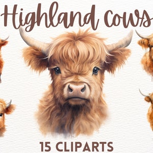 Lindo paquete de imágenes prediseñadas de vaca Highland de acuarela, animales lindos, imágenes prediseñadas de vaca, imágenes prediseñadas lindas, imágenes prediseñadas de animales
