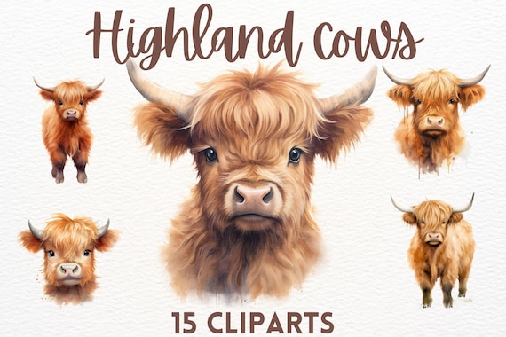 Cute watercolour Highland cow clipart bundle, cute animals, cow clipart, cute clipart,animal clipart