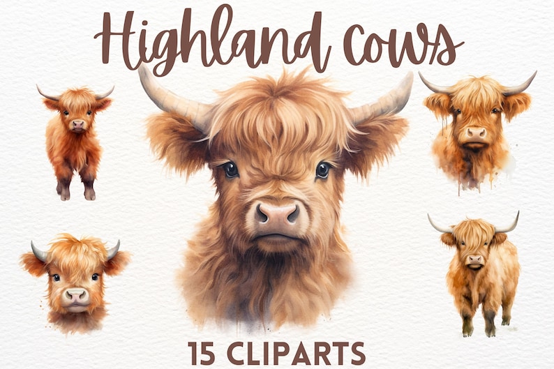 May include: A set of 15 watercolour clipart images featuring Highland cows. The cows are depicted in various poses, including full body, headshots, and close-ups. The images are painted in a realistic style with soft, muted colours.