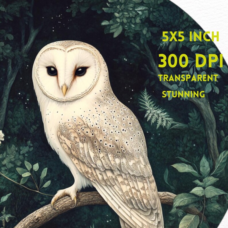 Peut inclure: Un hibou des granges blanc avec des taches brunes perch&eacute; sur une branche dans un d&eacute;cor de for&ecirc;t sombre. Le hibou a de grands yeux noirs et un visage blanc. L'arri&egrave;re-plan est vert fonc&eacute; avec des feuilles et des branches. L'image mesure 12,7x12,7 cm et 300 DPI, est transparente et magnifique.