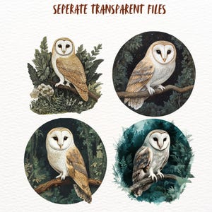 Peut inclure: Quatre illustrations num&eacute;riques de hiboux des granges dans diff&eacute;rents milieux forestiers. Chaque hibou est repr&eacute;sent&eacute; avec des plumes blanches et brunes, perch&eacute; sur une branche avec un feuillage vert en arri&egrave;re-plan.