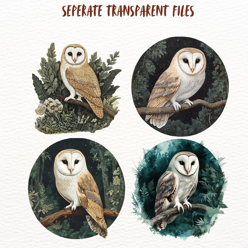Peut inclure: Quatre illustrations num&eacute;riques de hiboux des granges dans diff&eacute;rents milieux forestiers. Chaque hibou est repr&eacute;sent&eacute; avec des plumes blanches et brunes, perch&eacute; sur une branche avec un feuillage vert en arri&egrave;re-plan.