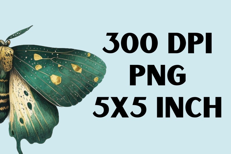 May include: A green and gold butterfly with black stripes on its body. The image is 300 DPI, PNG, and 5x5 inches.