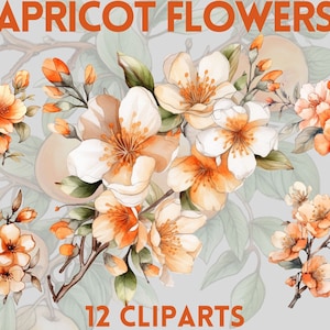 Pacote de clipart de flores coloridas de damasco aquarela, clipart floral, clipart de flores silvestres, download instantâneo