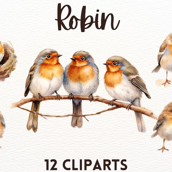 Cute watercolour european robin bird clipart bundle, cute animals, cute bird clipart, cute robin clipart,animal clipart