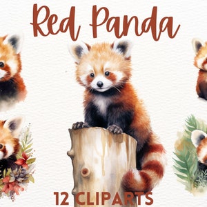 Pacote de clipart de panda vermelho aquarela fofo, animais fofos, clipart de panda bebê, clipart fofo, clipart de animais