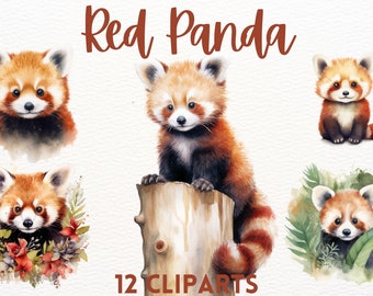 Niedliches Aquarell roter Panda, Clipart Bündel, süße Tiere, Baby Panda Clipart, süße Clipart, Tier Clipart