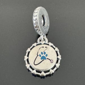 Genuine Pandora Dangle Charm|Pandora Charm|925 Jewelry with Pandora Box |A Real Pandora Charm For Bracelet|Gift for Her |Travel Gift