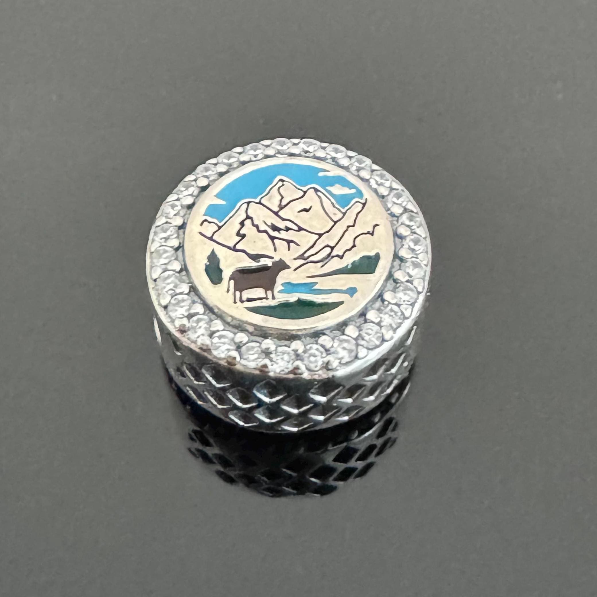 Pandora california charm - Etsy 日本