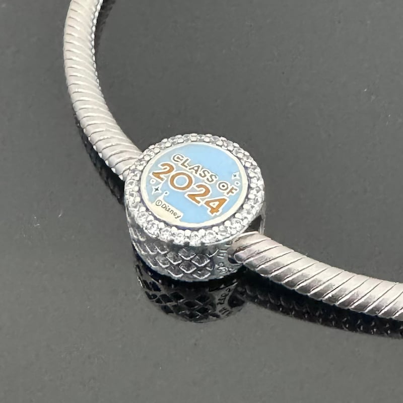 2025 Pandora Charm Etsy
