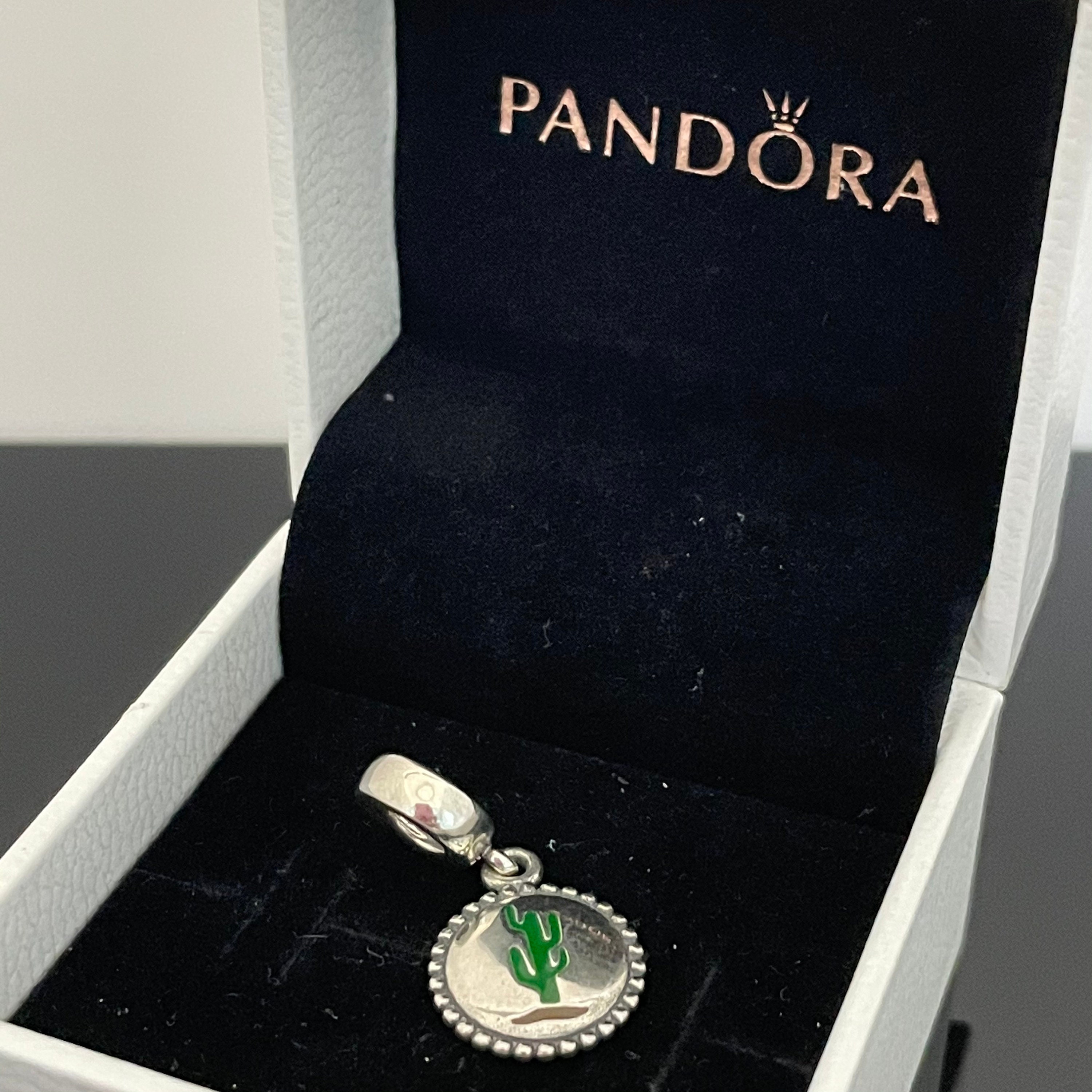 Pandora Kaktus Arizona Anhnger | Charm fr Pandora Armband |  Muttertagsgeschenke - Etsy sterreich