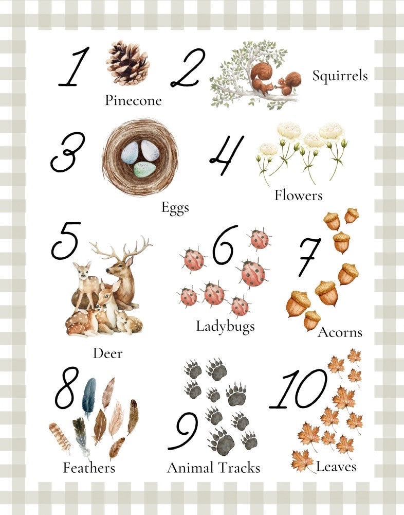 Counting Poster - Etsy