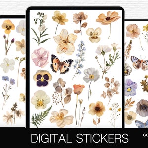Kit di adesivi Fiori pressati secchi Adesivi PNG Fiori di campo Piante secche Adesivi per pianificatore digitale Piante pressate Fiori Boho PNG botanici