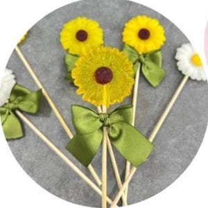 Handmade Candy Lolipops