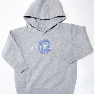 Youth Detroit Embroidered Hoodie: Kids Fan Sweatshirt