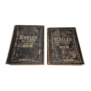 Antique Bibelen Swedish Bible Gustave Doré Illustrations 1877 - 2 Volume Set Old & New Testament Hardcover - 1800s