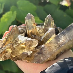 2.0 LB  Brazilian Citrine Cluster