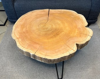 Couchtisch aus einer Thuja-Holz Baumscheibe