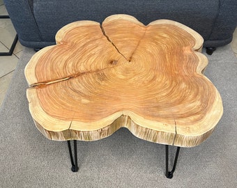 Couchtisch aus einer Thuja-Holz Baumscheibe