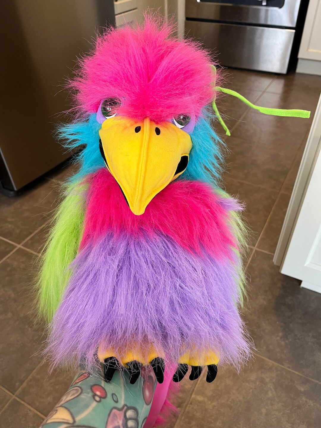 Rainbow Paradise Bird Hand Puppet Squawking Bird Etsy