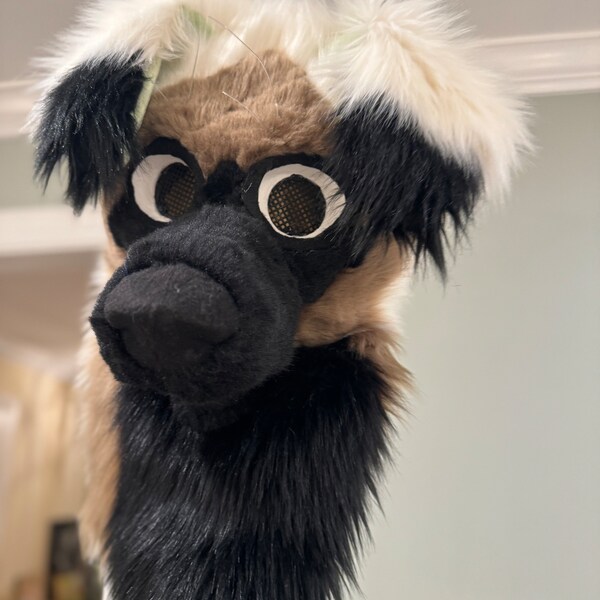 Fursuit head