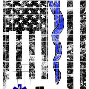 EMS Flag