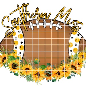 Eagles Southern Miss Football