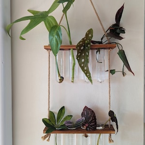Plant Propagation Station | Grow Plants Starter Station | Gifts For Him/Her | Indoor Plant Cuttings | Plant Accessories | Hydroponics | Vase