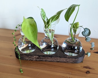 Plant Propagation Gift | Grow Your Plants Starter Station | Gifts For Her | Indoor Plant Cuttings | Gifts for him | Plant Accessories | Vase