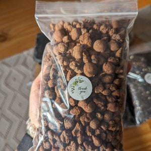 Leca | Terrarium Drainage | Hydroton Clay Pebbles | Expanding Ball False Bottom Layering for Terrariums and Vivariums | Planter Draining