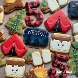 Camping Kids Birthday Theme Decorated Cookies, Woods | Wild Birthday, Happy Camper, Party Favors, Custom Cookies, Personalized Cookies, Gift