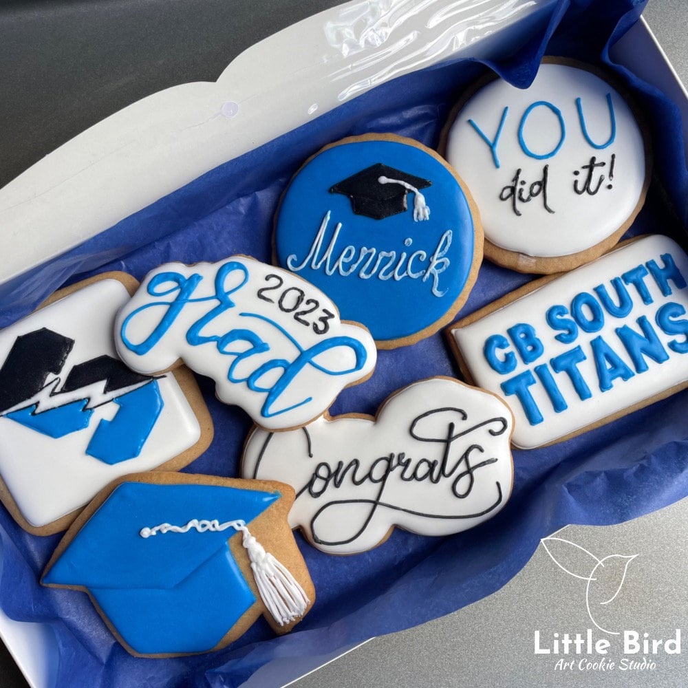 Grad Robe Cookies Graduation Decorated Cookies, High School, College, Grad Cap, Gown ...