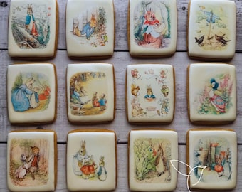 The Tale of Peter Rabbit Decorated Cookies, Children's Book Favors, Baby Shower, First Birthday, Kindergarten, Librarian, Teacher, Gift