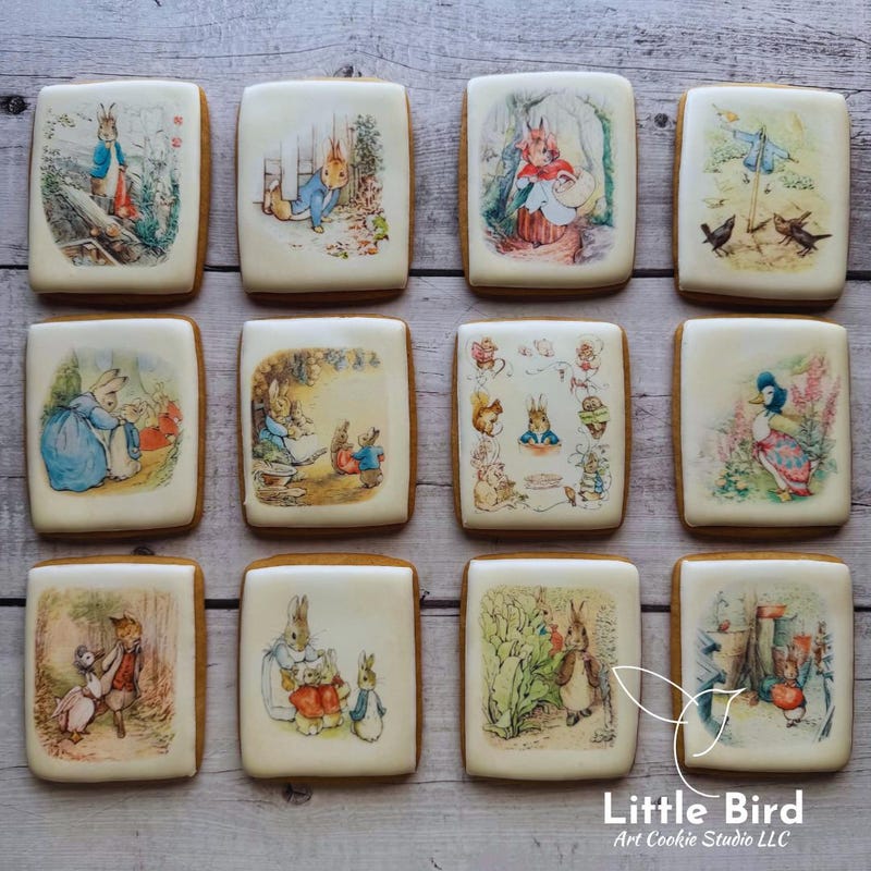 Peter Rabbit Cookies - Etsy