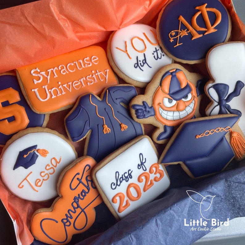 Grad Robe Cookies Graduation Decorated Cookies, High School, College, Grad Cap, Gown ...