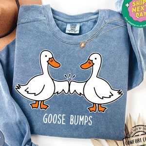May include: A blue sweatshirt with a graphic of two white geese with orange beaks bumping fists. The text "GOOSE BUMPS" is printed below the geese.