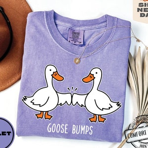 May include: Purple t-shirt with a graphic of two cartoon geese bumping fists. The text "Goose Bumps" is printed below the geese. The shirt is made by Comfort Colors and is 100% cotton.