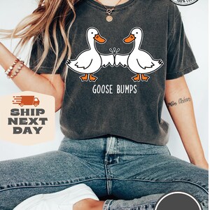 May include: A dark grey t-shirt with a graphic of two cartoon geese bumping fists. The text "GOOSE BUMPS" is printed below the geese. The shirt is being worn by a person sitting down.