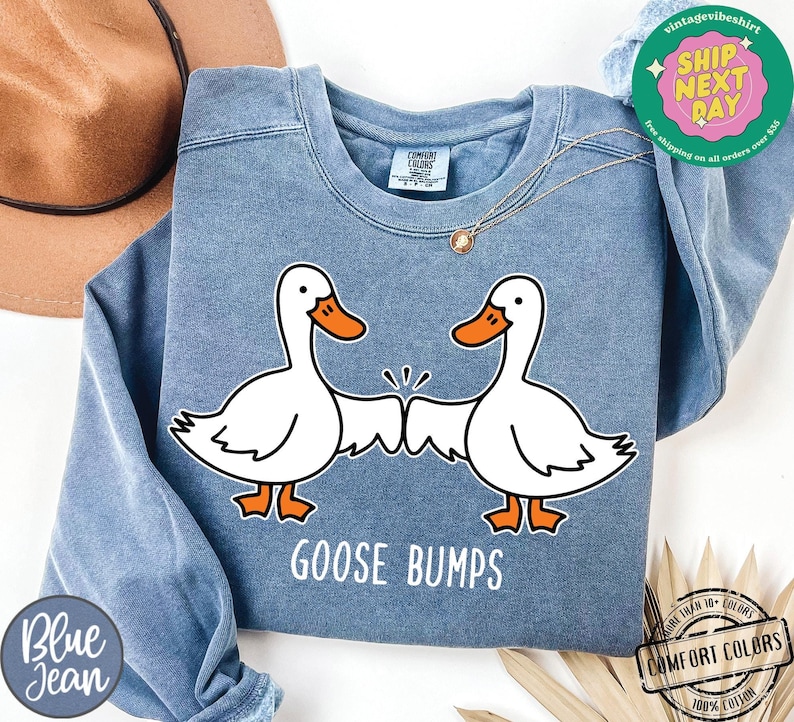 May include: A blue sweatshirt with a graphic of two white geese with orange beaks bumping fists. The text "GOOSE BUMPS" is printed below the geese.